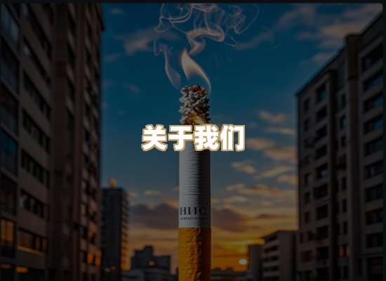关于金鹤网